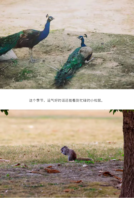 图片4.png