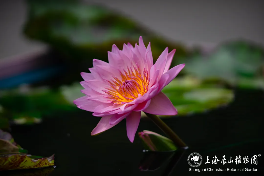 微信图片_20240830162717.png