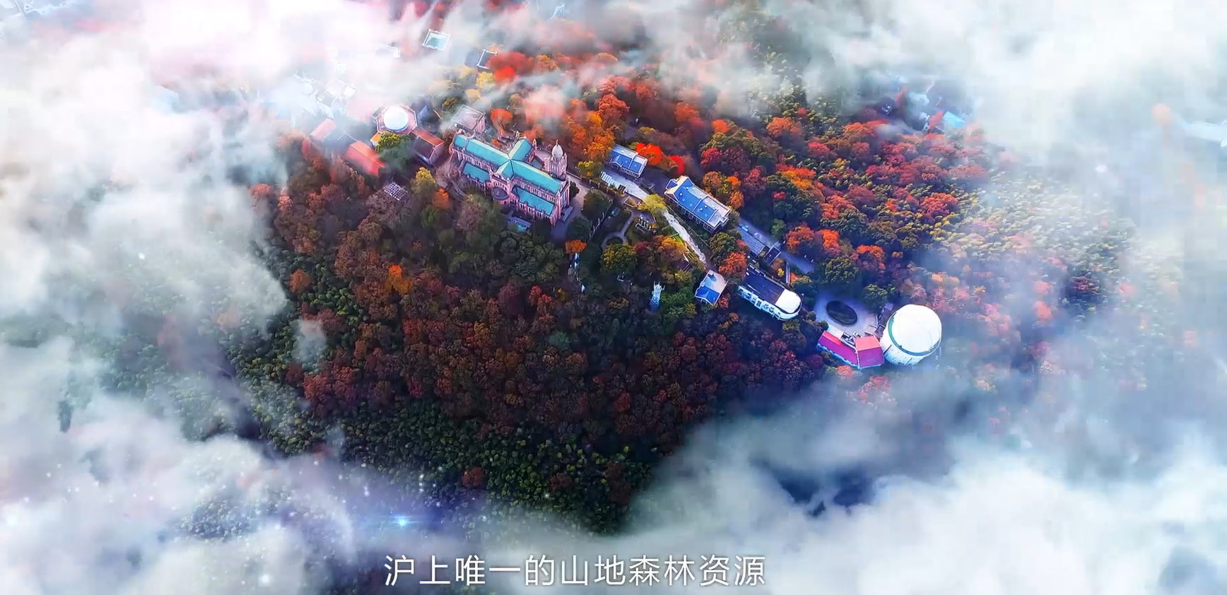 微信图片_20241030100646.png