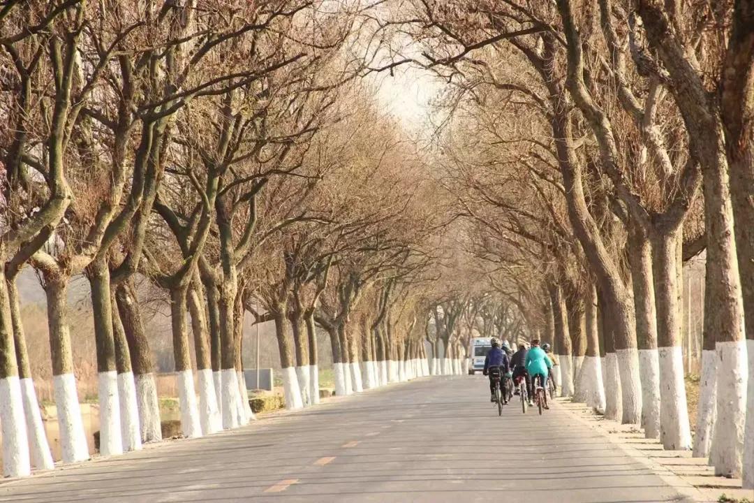 图片1.jpg