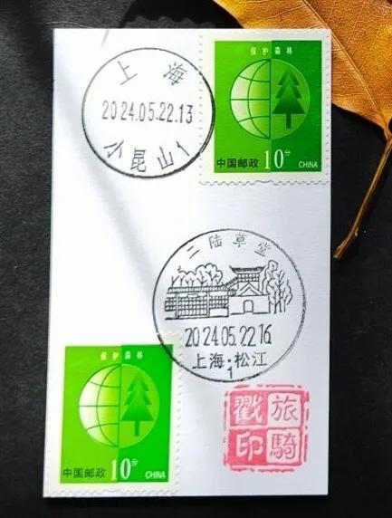 图片10.jpg
