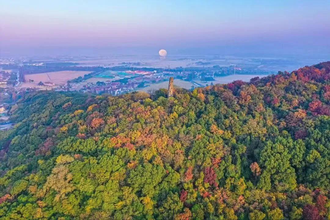 图片2.jpg