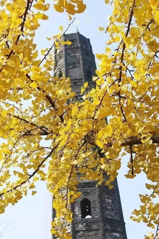 图片10.jpg