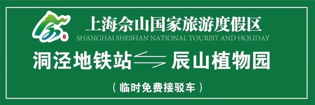 图片32.jpg