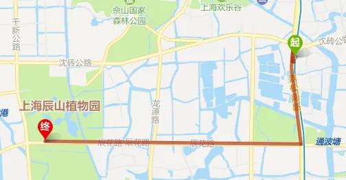 图片33.jpg